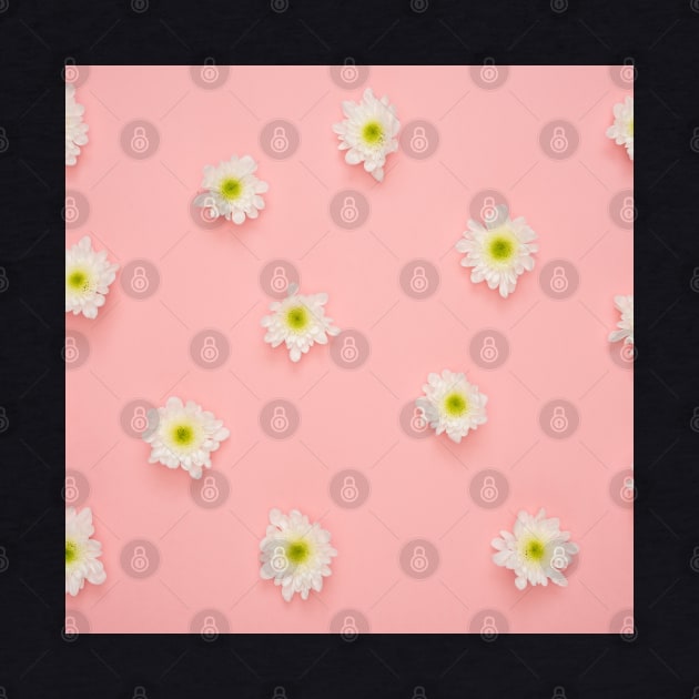 White flower, yellow and white flower, flowers background by Maroon55